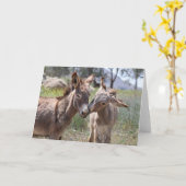 Carte Wild Burros Greeting (Fleur jaune)