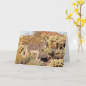 Carte Wild Burros Greeting (Fleur jaune)