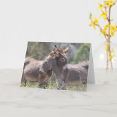 Carte Wild Burros Greeting (Fleur jaune)