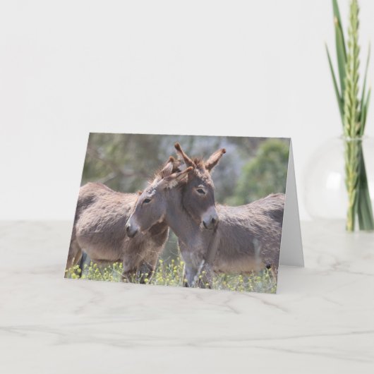 Carte Wild Burros Greeting (Devant)