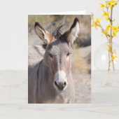 Carte Wild Burros of California (Fleur jaune)