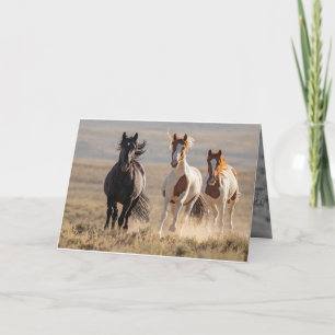 Carte Wild Family Runs Horse Grey Card