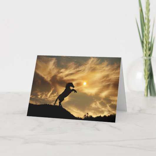 Carte Wild Horse Funny Birthday Card (Devant)