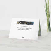 Carte Wild Horse Greeting Card (Dos)