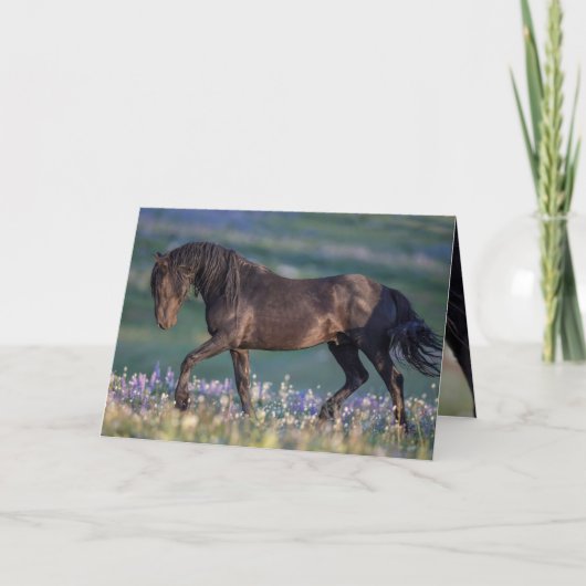 Carte Wild Horse Greeting Card (Devant)