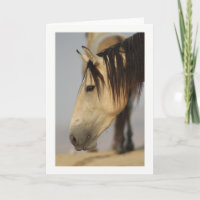 WILD HORSE OF UTAH GREETING CARD