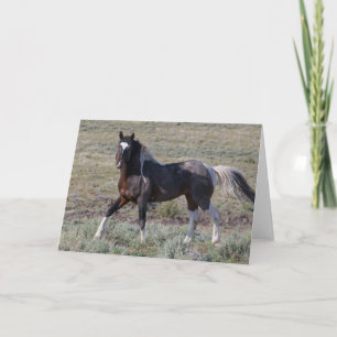 Carte Wild Horses After a Dust Bath