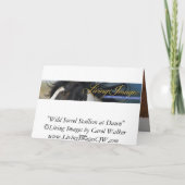 Carte Wild Sorrel Stallion (Dos)