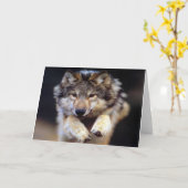 Carte Wild Wolf (Fleur jaune)