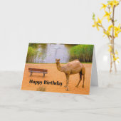 Carte Wildlife Camel Oasis Photo Anniversaire (Fleur jaune)