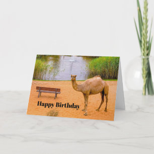 Carte Wildlife Camel Oasis Photo Anniversaire