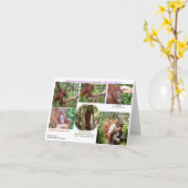 Carte Wildlife Romantic Humor (Fleur jaune)