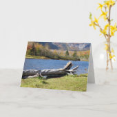 Carte Willey's Pont, Saco River, North Conway, NH (Fleur jaune)