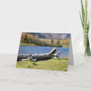 Carte Willey's Pont, Saco River, North Conway, NH