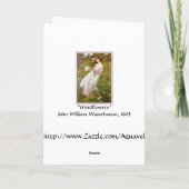 Carte : Windflowers - par le château d'eau de John (Dos)