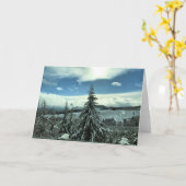 Carte Winter dans la Tillamook State Forest, Oregon (Fleur jaune)