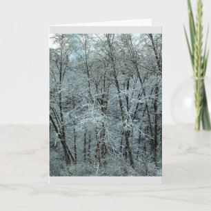 Carte Winter dans la Tillamook State Forest, Oregon