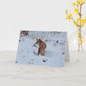 Carte Winter Fox (Fleur jaune)