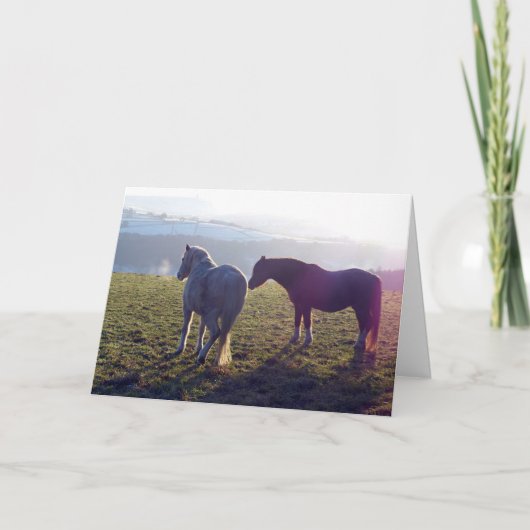 Carte Winter pasture horse card (Devant)