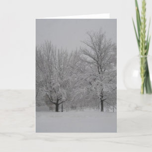 Carte Winter red maples