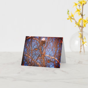 Carte Winter Robins Wildlife Nature Note