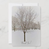 Carte Winter Tree Photography (Devant)