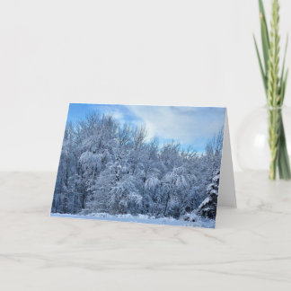 Carte Winter Wonderland