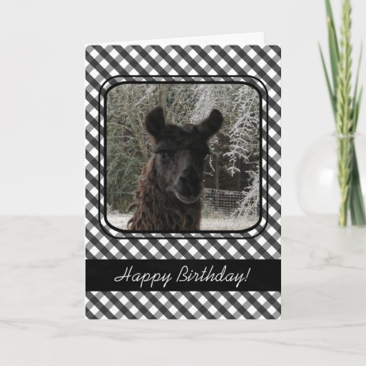 Carte Wintertime Llama and Black Gingham (Devant)