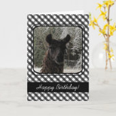 Carte Wintertime Llama and Black Gingham (Fleur jaune)