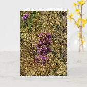 Carte Wisconsin Purple Fleur sauvage, automne 2021 (Fleur jaune)