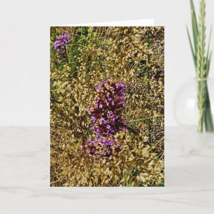 Carte Wisconsin Purple Fleur sauvage, automne 2021