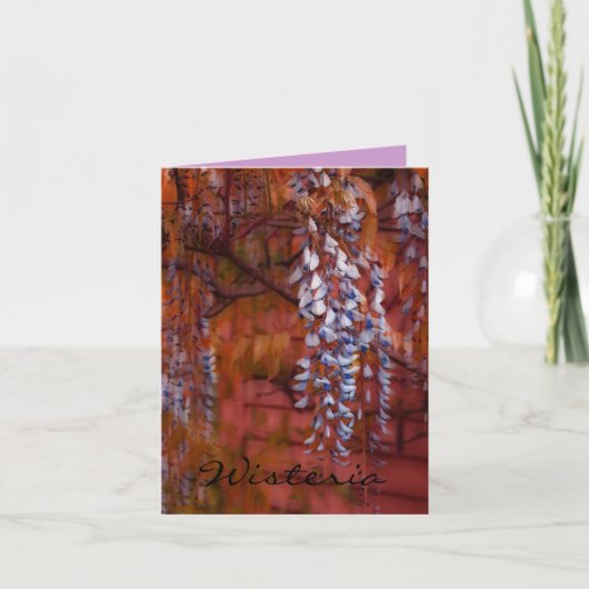 Carte Wisteria (Devant)