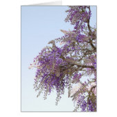 Carte Wisteria pourpre (Devant)