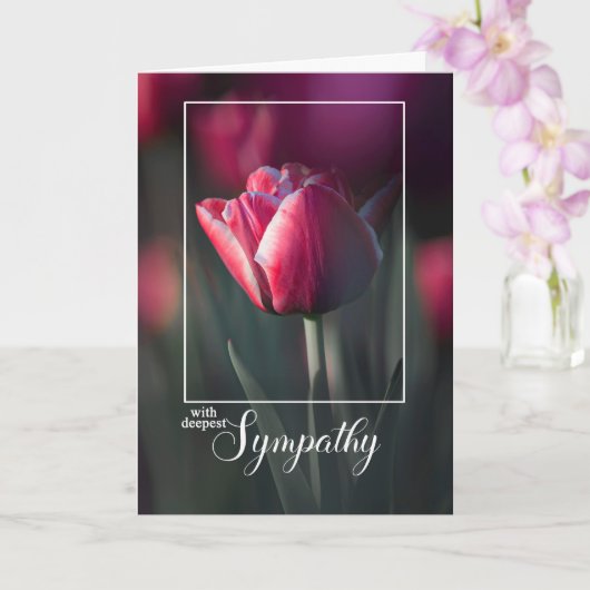 Carte With Deepest Sympathy Rich Pink Tulip (Orchidée)