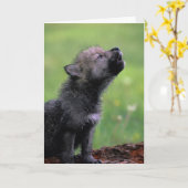 Carte Wolf Cub Howling (Fleur jaune)