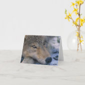 Carte Wolf_pup_closeup (Fleur jaune)
