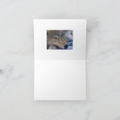 Carte Wolf_pup_closeup (Intérieur)