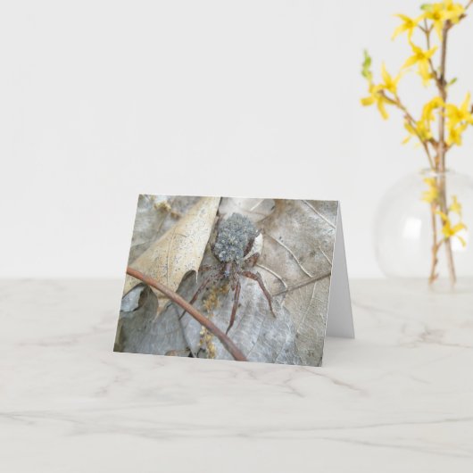 Carte Wolf Spider with Babies on Back Note (Fleur jaune)
