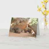 Carte Wombat Heaven (Fleur jaune)