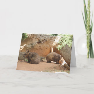 Carte Wombat Heaven