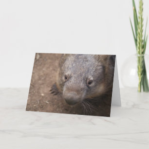 Carte Wombat Kiss