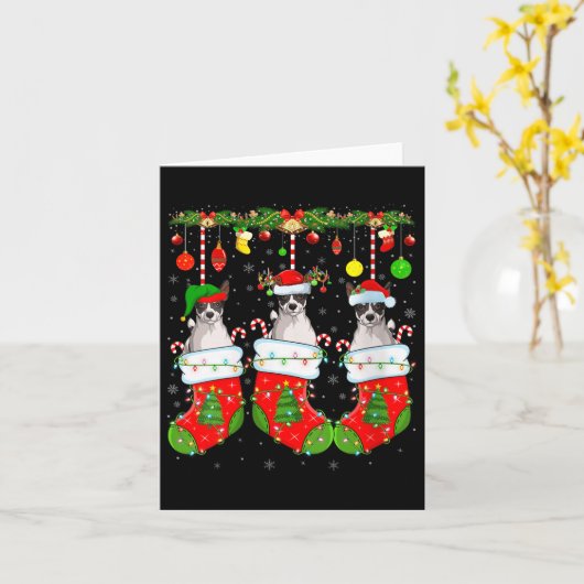 Carte Womens Russell Terrier Dog In Christmas Socks Funn (Fleur jaune)