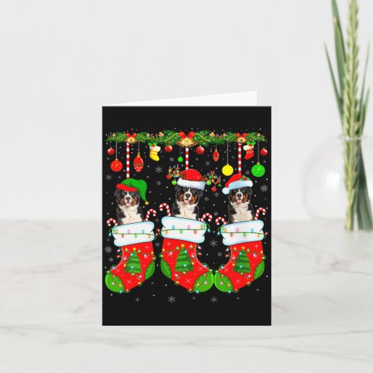 Carte Womens Saint Bernard Dog In Christmas Socks Funny (Devant)