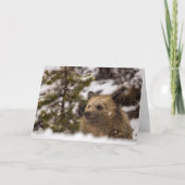 Carte "Wonder" (Devant)