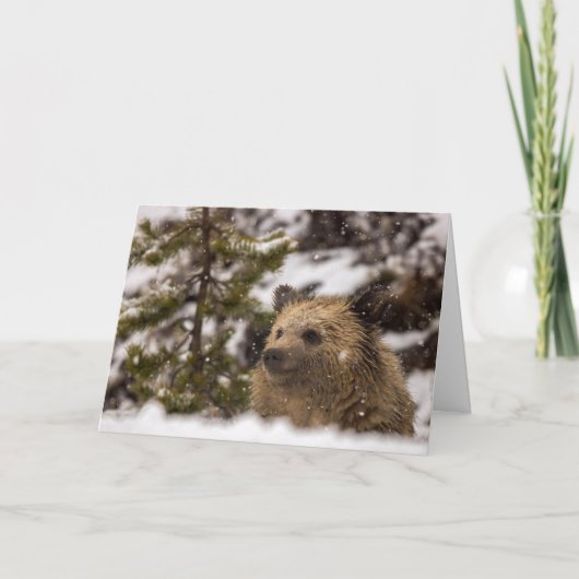 Carte "Wonder" (Devant)