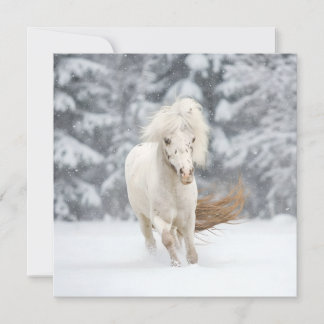 Carte Wonderland Photo Miniature Horse Running