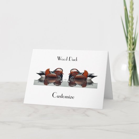 Carte Wood Duck (Devant)