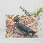 Carte Wood Duck Flat (Debout devant)