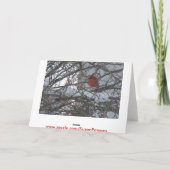 Carte Woodpile, Salutations d'hiver chaudes (Dos)