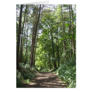 Carte Woods
